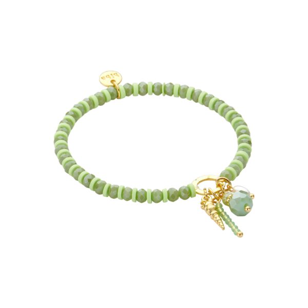 Biba armband 55222mix07 groen